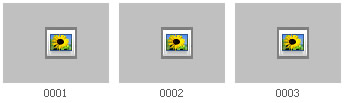 Missing images in the photo slideshow project